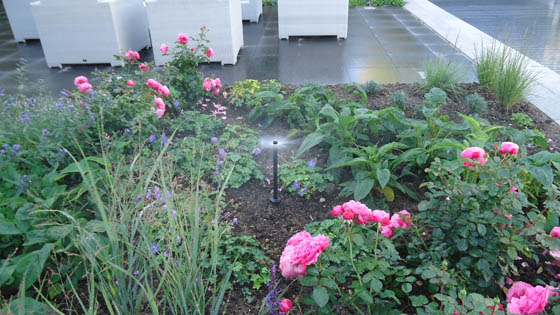 Brontec tuinberegening
