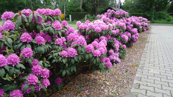 Brontec tuinberegening